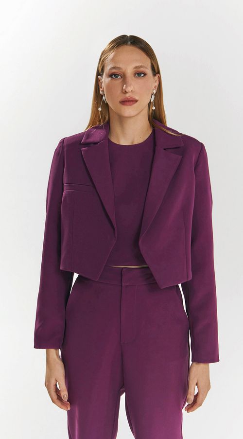 Blazer Iódice Com Recorte Roxo